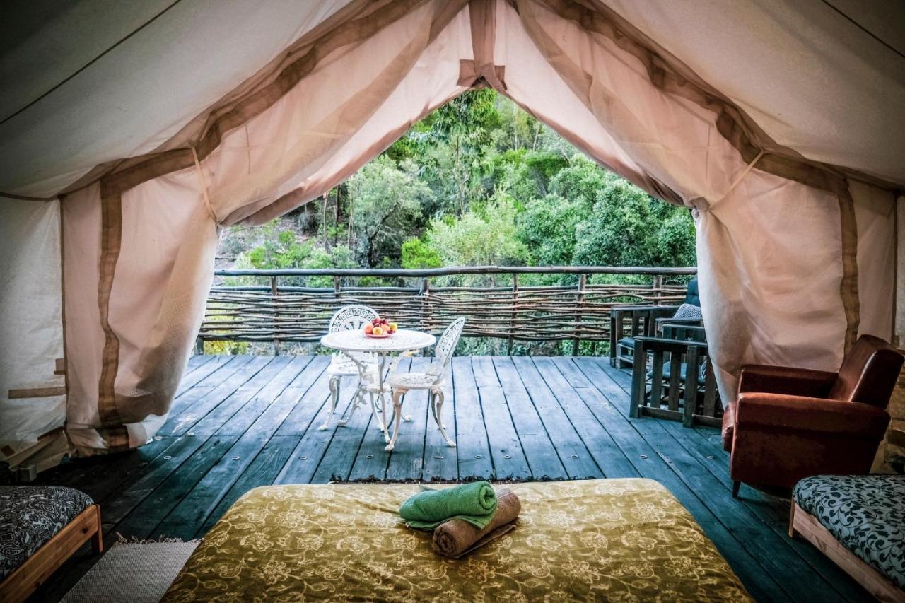 מלון אלג'זור Quinta Alma - Ecological Retreat Farm מראה חיצוני תמונה