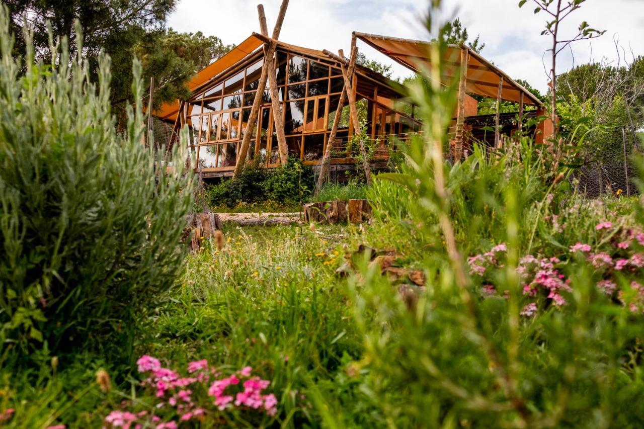 מלון אלג'זור Quinta Alma - Ecological Retreat Farm מראה חיצוני תמונה
